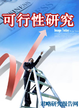可行性研究报告
